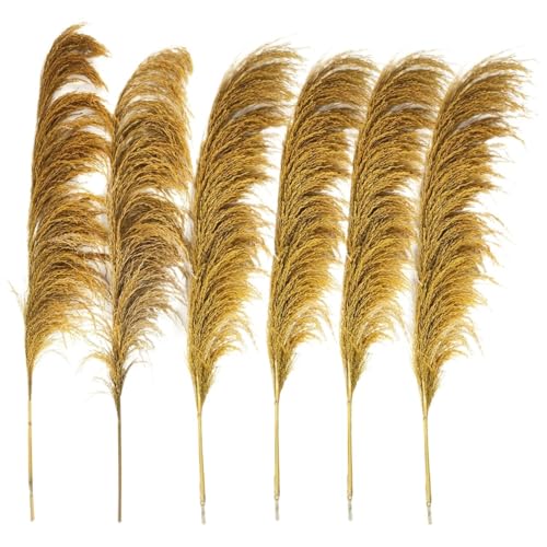 Zuhause mit Blumen dekorieren, Pampasgras-Getrockneter Blumenstrauß, 80–120 cm, 5 Stück, for die Inneneinrichtung(80-120cm-06,10pcs) von YBAAKZIIR