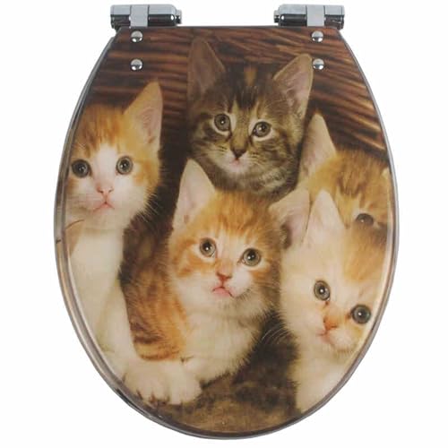 weich geschlossener Toilettensitz, Toilettensitz und Deckel aus Harz for UVO-Form, langsam schließend, mit Druckknopfentriegelung, 43 x 36 cm(Style-13) von YBAAKZIIR