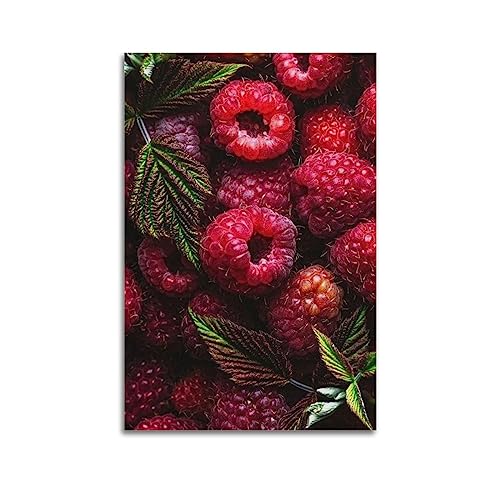 YBHF Fresh Fuit Rote Himbeer-Poster, Wandkunstdruck, Retro-ästhetische Raumdekoration, Gemälde, Leinwand, Poster für Zuhause und Büro, 20 x 30 cm, ungerahmt von YBHF