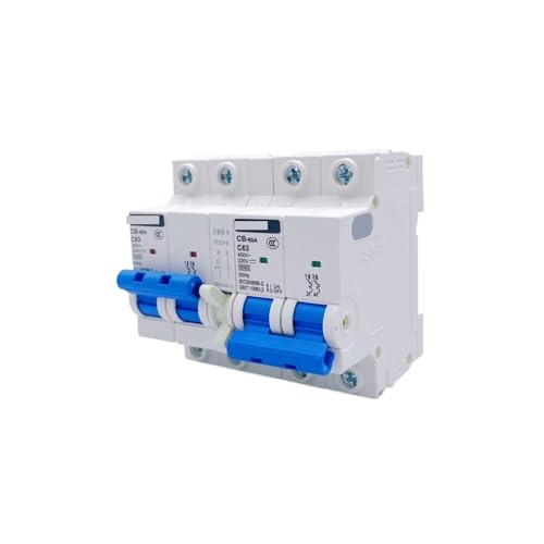 ATS DC/AC 110 V 220 V Doppel Power AutomaticTransfer Switch Mini Circuit Breaker for PV Solar Energie System elektrische fahrzeug(2P 220V,25A) von YBKIASLYT