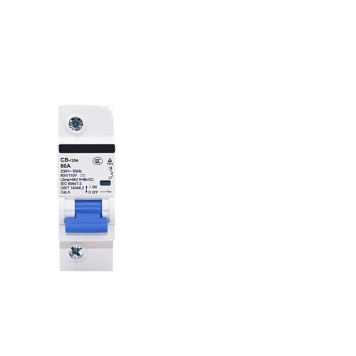 DC MCB CB-125A Solarenergie Photovoltaik Mini-Leistungsschalter 1P 2P DC 110V DC 220V(100A,MCB 2P DC 220V) von YBKIASLYT
