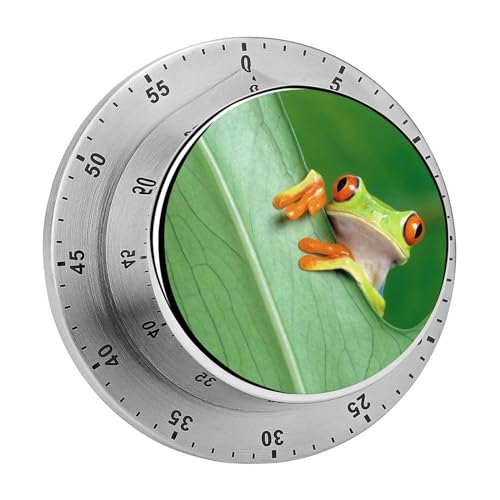 Küchentimer Niedlicher Frosch Countdown Magnetischer Timer Küchenuhr Für Kochen Sport Studieren 8cm von YBQLNP