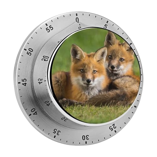 Magnetischer Countdown Natürlicher Fuchs Küchentimer Stoppuhr Timer Kurzzeitwecker Für Kochen Backen Küche 8cm von YBQLNP
