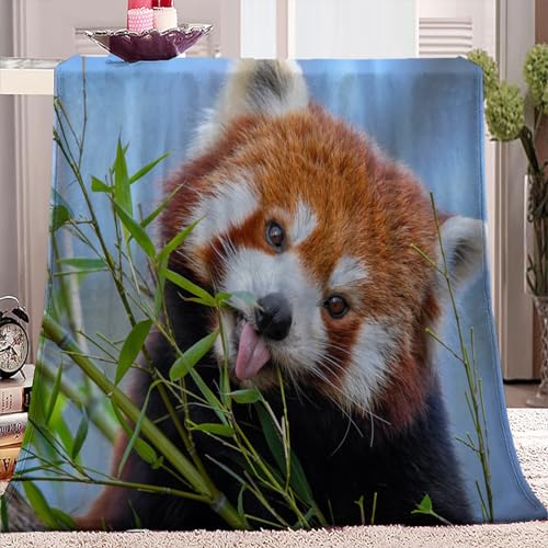 Fleecedecke 150x200 cm tierischer roter Panda Kuscheldecke Flauschig Decke Flanell Fleecedecke Sofadecke Weich Deckeldecke Wohndecke für Bett Sofa Zimmer deko von YBRAVO