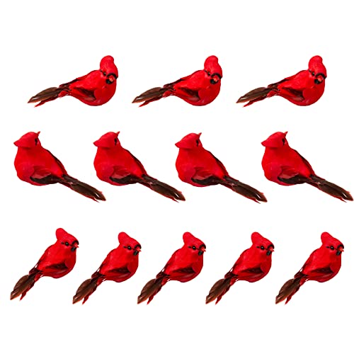 YCHTEWY 12er Set Vogel-Weihnachtsschmuck, Clip-On, Rot, Kunststoff-Metall, 3,5 Zoll, für Weihnachten, Hochzeit, Geburtstag von YCHTEWY