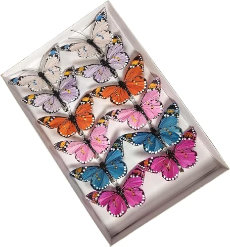 YCHTEWY Feder-Schmetterlings-Dekorationen, Set mit 12 lebhaften bunten Bastel-Schmetterlingen auf Clip. Party-Frühlings-Heimdekoration, Blumenbilder YCHTEWY Feder-Schmetterlings-Dekorationen, Set mit 12 lebhaften bunten Bastel-Schmetterlingen auf Clip. Party-Frühlings-Heimdekoration, Blumenbilder von YCHTEWY