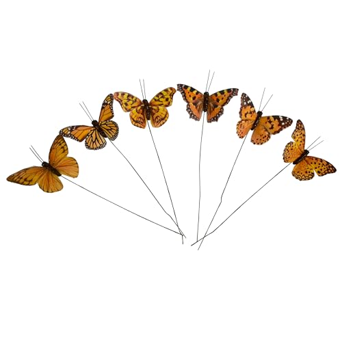 YCHTEWY Künstliche Federn, 3D-Schmetterling, Party-Dekorationen, Set mit 12 Stück, mit Draht, 6 Farben, Ornamente für den Weihnachtsbaum YCHTEWY Künstliche Federn, 3D-Schmetterling, Party-Dekorationen, Set mit 12 Stück, mit Draht, 6 Farben, Ornamente für den Weihnachtsbaum von YCHTEWY