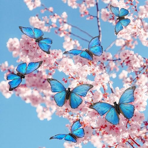 YCHTEWY Morpho Schmetterling Feder Schmetterlinge auf Plektren Blumenzubehör Set mit 12 Stück Halloween Thanksgiving Dekorationen .. YCHTEWY Morpho Schmetterling Feder Schmetterlinge auf Plektren Blumenzubehör Set mit 12 Stück Halloween Thanksgiving Dekorationen .. von YCHTEWY