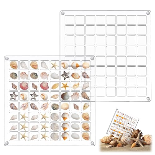 YCHYAN 64 Fächer Acrylic Seashell Display Box, Klare Muschel Sammelbox, Magnetic Shell Aufbewahrungsbox, Box Multifunktional Transparent, Magnetischer Verschluss, Muscheln, Edelsteine Display Box YCHYAN 64 Fächer Acrylic Seashell Display Box, Klare Muschel Sammelbox, Magnetic Shell Aufbewahrungsbox, Box Multifunktional Transparent, Magnetischer Verschluss, Muscheln, Edelsteine Display Box von YCHYAN