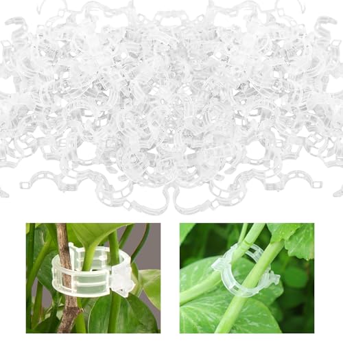 100 Stück Pflanzenclips für Kletterpflanzen, Kunststoff Pflanzenstütze, Transpare Pflanzen Clips, Gurken Rankhilfe, Pflanzenklammern Tomaten Rankhilfe, für Blumen Gemüse Tomate Pflanzen Befestigun 100 Stück Pflanzenclips für Kletterpflanzen, Kunststoff Pflanzenstütze, Transpare Pflanzen Clips, Gurken Rankhilfe, Pflanzenklammern Tomaten Rankhilfe, für Blumen Gemüse Tomate Pflanzen Befestigun von YCICHE