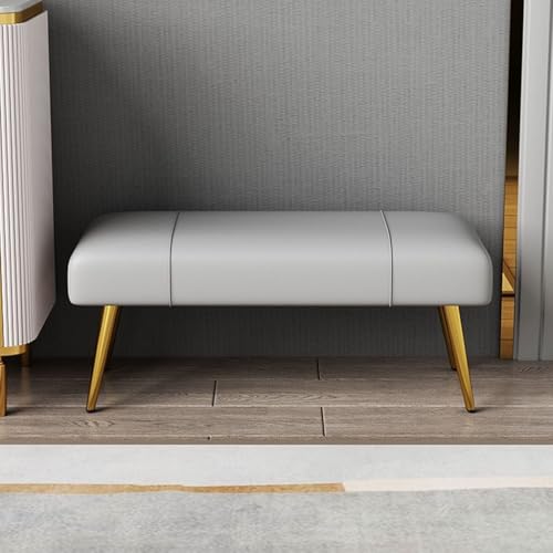YCKEGEW Lange Bettbank Gepolsterte Bank Für Den Eingangsbereich Zum Schuhewechseln, Moderne Ottomane Mit Gepolstertem Sitz Und Metallgestell Für Wohnzimmer Und Büro(Light Grey,60cm) von YCKEGEW