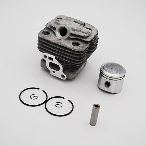 Rasenmäherteile 34MM Zylinderkolbensatz for ECHO SRM-260 PB-260 PE-260 SRM-261 PB-261 Trimmer Freischneider Gebläse Ersatzteil Jardin Ferramentas Rasenmäherteile 34MM Zylinderkolbensatz for ECHO SRM-260 PB-260 PE-260 SRM-261 PB-261 Trimmer Freischneider Gebläse Ersatzteil Jardin Ferramentas von YCSOZMM