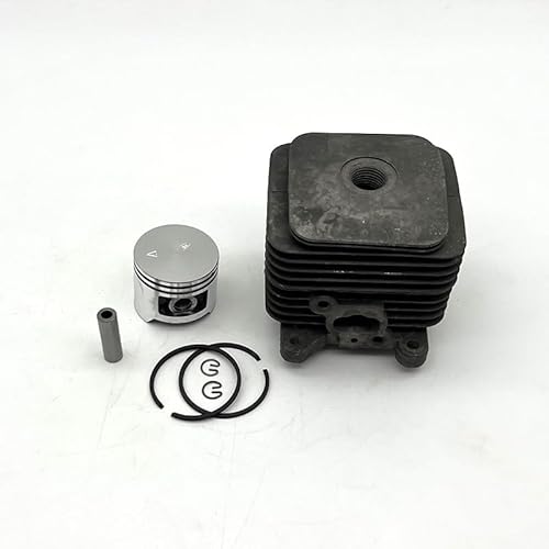 Rasenmäherteile 36,5mm Zylinder Kolben Assy Kit Fit for Homelite S30 Garten Werkzeuge Rasentrimmer Freischneider Ersatzteile Rasenmäherteile 36,5mm Zylinder Kolben Assy Kit Fit for Homelite S30 Garten Werkzeuge Rasentrimmer Freischneider Ersatzteile von YCSOZMM
