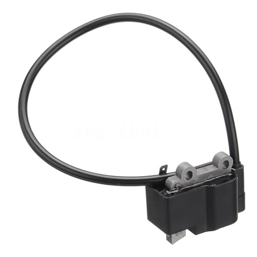 Rasenmäherteile A411000500 A411000501 Zündspule Modul for Shindaiwa for Echo Handheld Laubbläser ES-250 PB-250LN PB-250 ES-252 PB-252 Rasenmäherteile A411000500 A411000501 Zündspule Modul for Shindaiwa for Echo Handheld Laubbläser ES-250 PB-250LN PB-250 ES-252 PB-252 von YCSOZMM