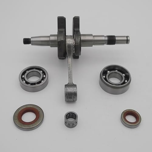 Rasenmäherteile Kurbelwellenlager Öldichtung Nadelkäfig Kit for Stihl 024 026 MS240 MS260 Kettensäge Ersatzteile 1121 0300 405 Werkzeuge Rasenmäherteile Kurbelwellenlager Öldichtung Nadelkäfig Kit for Stihl 024 026 MS240 MS260 Kettensäge Ersatzteile 1121 0300 405 Werkzeuge von YCSOZMM