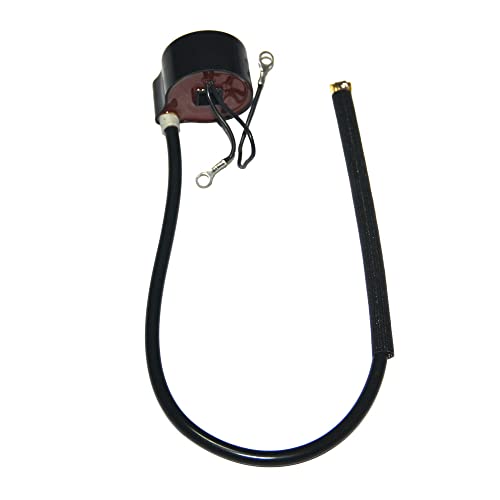 Rasenmäherteile Zündspulenmodul für TECUMSEH 3-10 PS 30560A 30546 135-13-990 RASENMÄHER Oregon 33-363 Motormagnet Ersatzteile von YCSOZMM