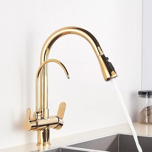 3 -Wege -Küchenhahn mit Wasserfilter und Ausziehen von Spray Messing 2 Griffen Mixer -Taps für Küchengold Finish Drehausgabe Einzelloch -Installation LWX 3 -Wege -Küchenhahn mit Wasserfilter und Ausziehen von Spray Messing 2 Griffen Mixer -Taps für Küchengold Finish Drehausgabe Einzelloch -Installation LWX von YCVAWEOD