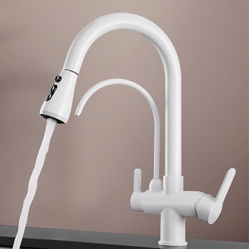 3-Wege schwarzer Schwan-Nacken-Spülbeckenmixer mit Ausziehen von Duschhahn-modernes Design, einfache Kontrolle, perfekt für die Heim- und Handelsnutzung LWX von YCVAWEOD