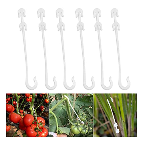 100 STK Tomate unterstützt J Haken Tomate Pflanzenstütze Binder Gemüse Clips zu verhindern Tomaten Obst Cluster aus Einklemmen oder Falling Off von YCYUYK