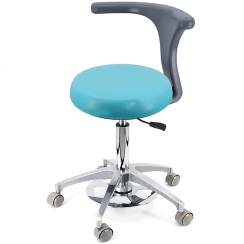 YDHSIKK Hocker Adjustable Height 360 Swivel Dental Stool Chair with Back Support Multicolor Multiple Sizes(B3,A1) von YDHSIKK