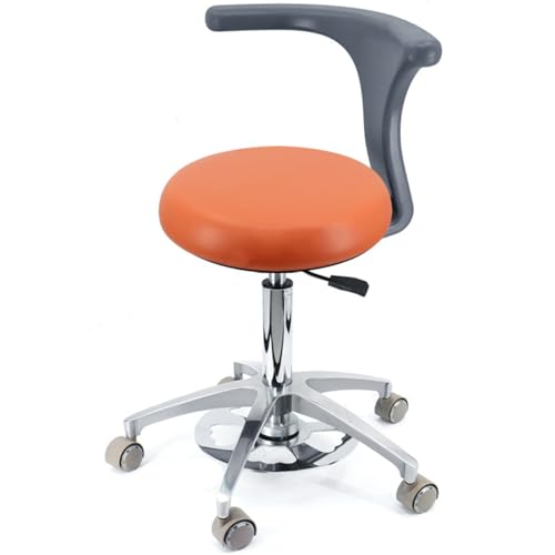 YDHSIKK Hocker Adjustable Height 360 Swivel Dental Stool Chair with Back Support Multicolor Multiple Sizes(B3,A10) von YDHSIKK