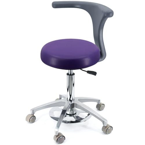 YDHSIKK Hocker Adjustable Height 360 Swivel Dental Stool Chair with Back Support Multicolor Multiple Sizes(B3,A17) von YDHSIKK