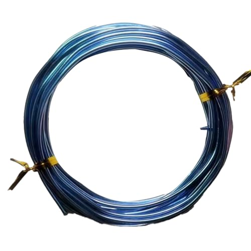 YDJIANCAI 1rolls 32,8ft/10 M Farbigem Eisendraht Für DIY-Handwerk Multifunktionsbildungsdraht Tragbare Schmuckversorgungen Flexible Weicheisen Für Kunst Und (Size:1.0mm,Color:riesiger blau) von YDJIANCAI