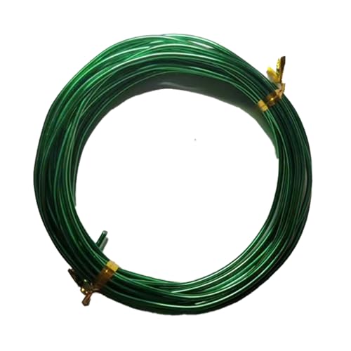 YDJIANCAI 1rolls 32,8ft/10 M Farbigem Eisendraht Für DIY-Handwerk Multifunktionsbildungsdraht Tragbare Schmuckversorgungen Flexible Weicheisen Für Kunst Und (Size:1.5mm,Color:Green) von YDJIANCAI