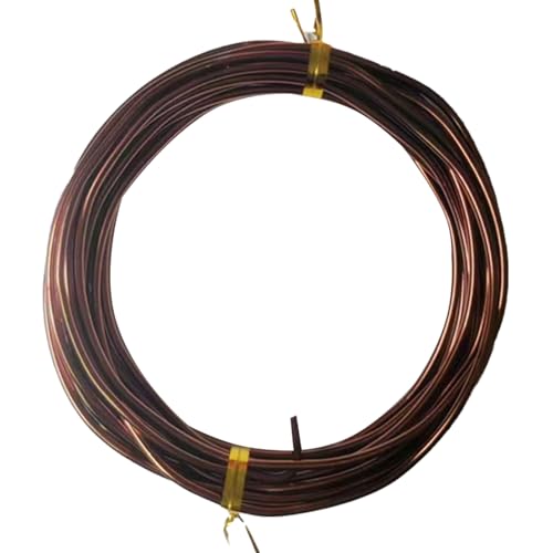 YDJIANCAI 1rolls 32,8ft/10 M Farbigem Eisendraht Für DIY-Handwerk Multifunktionsbildungsdraht Tragbare Schmuckversorgungen Flexible Weicheisen Für Kunst Und (Size:2.0mm,Color:Bronze) von YDJIANCAI
