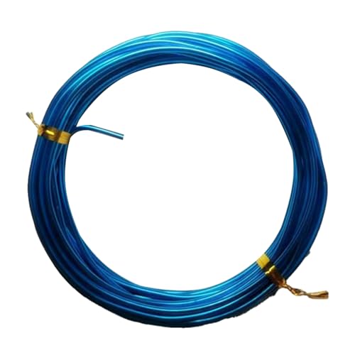 YDJIANCAI 1rolls 32,8ft/10 M Farbigem Eisendraht Für DIY-Handwerk Multifunktionsbildungsdraht Tragbare Schmuckversorgungen Flexible Weicheisen Für Kunst Und (Size:2.5mm,Color:Dodge Blue) von YDJIANCAI