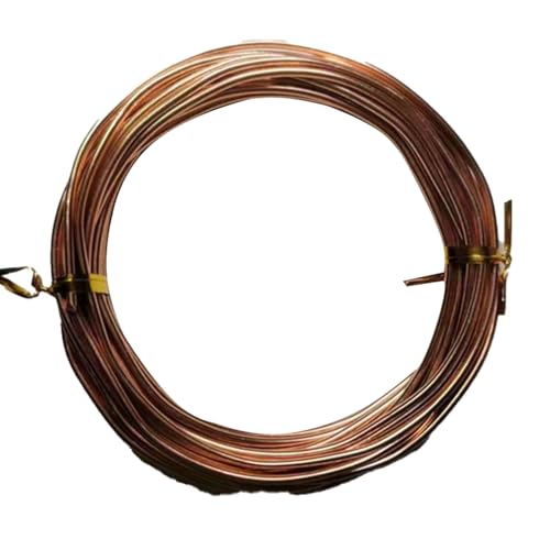 YDJIANCAI 1rolls 32,8ft/10 M Farbigem Eisendraht Für DIY-Handwerk Multifunktionsbildungsdraht Tragbare Schmuckversorgungen Flexible Weicheisen Für Kunst Und Design(Size:0.8mm,Color:Light Brown) von YDJIANCAI