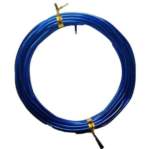 YDJIANCAI 1rolls 32,8ft/10 M Farbigem Eisendraht Für DIY-Handwerk Multifunktionsbildungsdraht Tragbare Schmuckversorgungen Flexible Weicheisen Für Kunst Und Design(Size:0.8mm,Color:Royal Blue) von YDJIANCAI