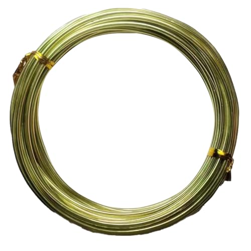 YDJIANCAI 1rolls 32,8ft/10 M Farbigem Eisendraht Für DIY-Handwerk Multifunktionsbildungsdraht Tragbare Schmuckversorgungen Flexible Weicheisen Für Kunst Und Design(Size:2.0mm,Color:Apple Green) von YDJIANCAI