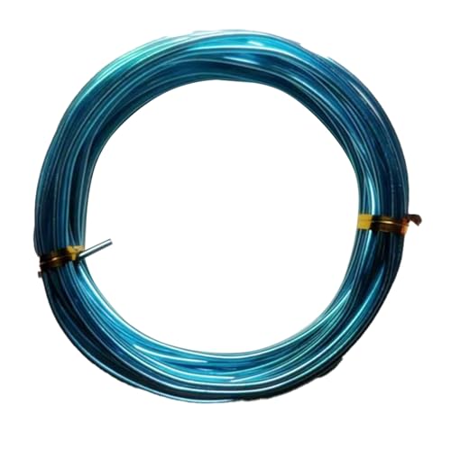 YDJIANCAI 1rolls 32,8ft/10 M Farbigem Eisendraht Für DIY-Handwerk Multifunktionsbildungsdraht Tragbare Schmuckversorgungen Flexible Weicheisen Für Kunst Und Design(Size:2.0mm,Color:Sky Blue) von YDJIANCAI