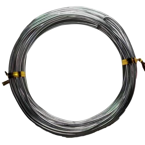 YDJIANCAI 1rolls 32,8ft/10 M Farbigem Eisendraht Für DIY-Handwerk Multifunktionsbildungsdraht Tragbare Schmuckversorgungen Flexible Weicheisen Für Kunst Und Design(Size:2.5mm,Color:Silver) von YDJIANCAI