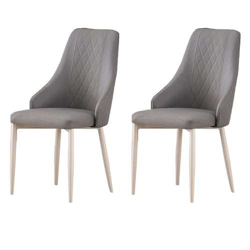YDkjwjw Esszimmerstühle Set mit 2 gepolsterten Küchenstühlen mit Metallbeinen, Küchenstuhl Armless Side Chair für Esszimmer, Wohnzimmer Lounge von YDkjwjw