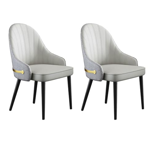 YDkjwjw Esszimmerstühle Set mit 2 gepolsterten Küchenstühlen mit Metallbeinen, Küchenstuhl Armless Side Chair für Esszimmer, Wohnzimmer Lounge von YDkjwjw
