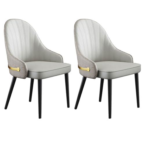 YDkjwjw Esszimmerstühle Set mit 2 gepolsterten Küchenstühlen mit Metallbeinen, Küchenstuhl Armless Side Chair für Esszimmer, Wohnzimmer Lounge von YDkjwjw