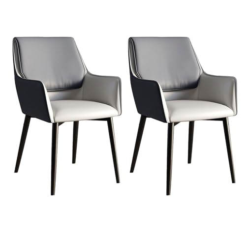YDkjwjw Moderne Esszimmerstühle 2er-Set, Küchenstühle aus der Mitte des Jahrhunderts Ergonomischer Polsterstuhl mit Metallbeinen für Esszimmer, Wohnzimmer, Küche, Schlafzimmer und Empfangsraum von YDkjwjw