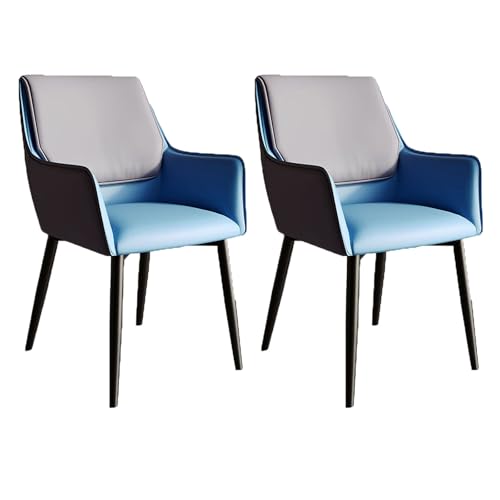 YDkjwjw Moderne Esszimmerstühle 2er-Set, Küchenstühle aus der Mitte des Jahrhunderts Ergonomischer Polsterstuhl mit Metallbeinen für Esszimmer, Wohnzimmer, Küche, Schlafzimmer und Empfangsraum von YDkjwjw