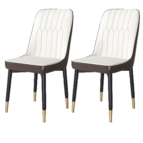 YDkjwjw Set mit 2 Esszimmerstühlen für das Esszimmer Wohnzimmer, armlose Esszimmerstühle mit Rückenlehne, gepolstertem Sitz und massiven Metallbeinen von YDkjwjw