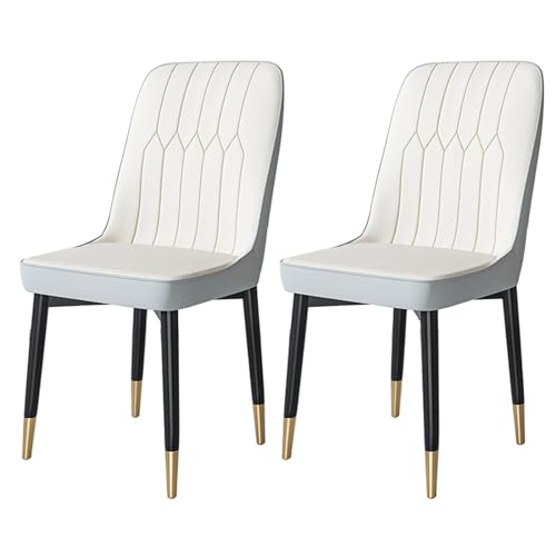YDkjwjw Set mit 2 Esszimmerstühlen für das Esszimmer Wohnzimmer, armlose Esszimmerstühle mit Rückenlehne, gepolstertem Sitz und massiven Metallbeinen von YDkjwjw