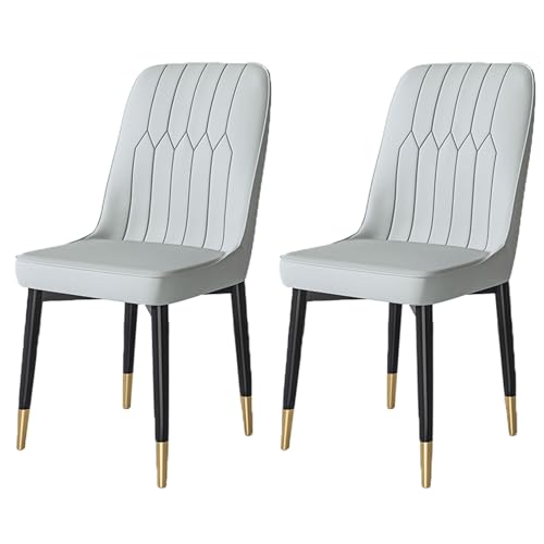 YDkjwjw Set mit 2 Esszimmerstühlen für das Esszimmer Wohnzimmer, armlose Esszimmerstühle mit Rückenlehne, gepolstertem Sitz und massiven Metallbeinen YDkjwjw Set mit 2 Esszimmerstühlen für das Esszimmer Wohnzimmer, armlose Esszimmerstühle mit Rückenlehne, gepolstertem Sitz und massiven Metallbeinen von YDkjwjw
