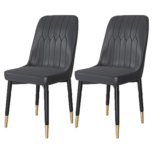 YDkjwjw Set mit 2 Esszimmerstühlen für das Esszimmer Wohnzimmer, armlose Esszimmerstühle mit Rückenlehne, gepolstertem Sitz und massiven Metallbeinen von YDkjwjw