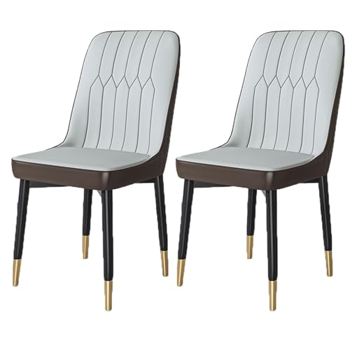 YDkjwjw Set mit 2 Esszimmerstühlen für das Esszimmer Wohnzimmer, armlose Esszimmerstühle mit Rückenlehne, gepolstertem Sitz und massiven Metallbeinen von YDkjwjw