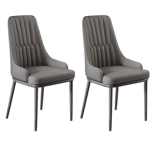 YDkjwjw Set mit 2 Esszimmerstühlen für das Esszimmer Wohnzimmer, armlose Esszimmerstühle mit Rückenlehne, gepolstertem Sitz und massiven Metallbeinen von YDkjwjw