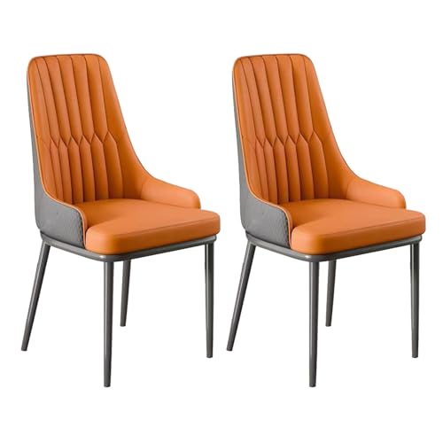 YDkjwjw Set mit 2 Esszimmerstühlen für das Esszimmer Wohnzimmer, armlose Esszimmerstühle mit Rückenlehne, gepolstertem Sitz und massiven Metallbeinen von YDkjwjw