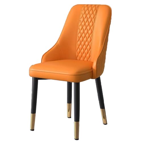 YDkjwjw Set mit 4 Esszimmerstühlen aus Leder, leichte Moderne Esszimmerstühle mit hoher Rückenlehne und massiven Metallbeinen, gepolsterter Beistellstuhl für Küche Wohnzimmer von YDkjwjw