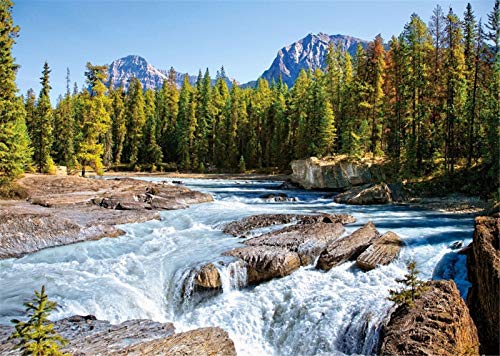 YEESAM ART DIY Ölgemälde Malen nach Zahlen Erwachsene Kinder, Fluss Holz Baum Berg Zahlenmalerei ab 5 Öl Wandkunst (Fluss, mit Rahmen) von YEESAM ART