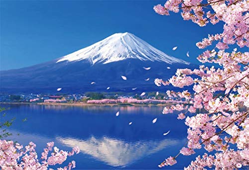 YEESAM ART DIY Ölgemälde Malen nach Zahlen Erwachsene Kinder, Mt. Fuji Japan Kirschblüten 16x20 Zoll Zahlenmalerei ab 5 Öl Wandkunst (Japan, mit Rahmen) von YEESAM ART